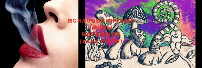 Псилоцибиновые грибы MAGIC MUSHROOMS  закладка  Микунь 